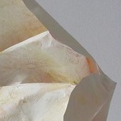 ohne titel, 2024, papierobjekt, ca. 15x13 cm, copyright vg bildkunst + axel hptner
